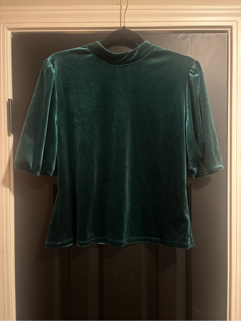 Gypsies & Moondust Velvet Mock Neck Top in Emerald Green